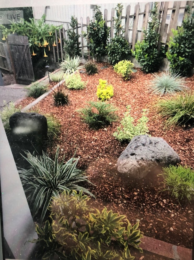 Landscape Designer near Redwood City, CA